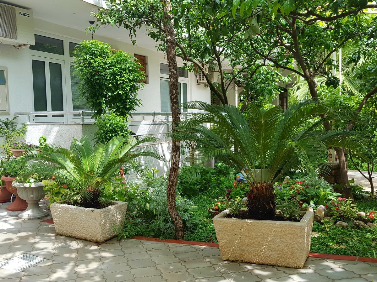 Bonik Apartment Budva